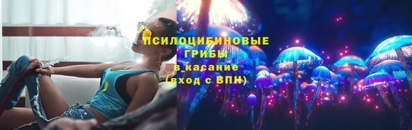 дживик Белокуриха