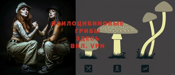 трава Беломорск