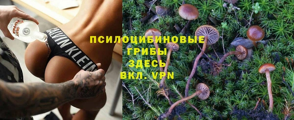 трава Беломорск
