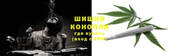 трава Беломорск