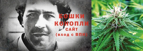 трава Беломорск
