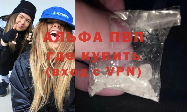 дживик Белокуриха