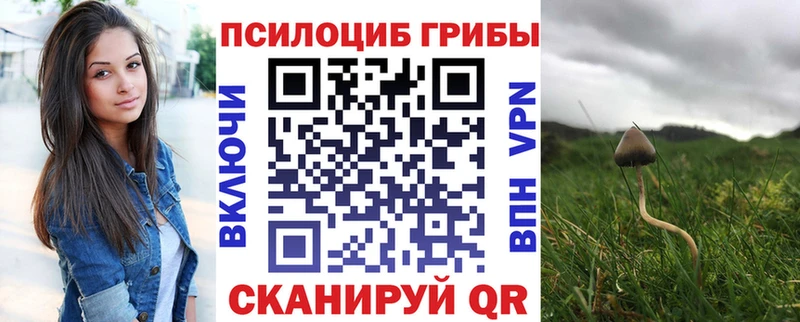 купить наркоту  Цоци-Юрт  Галлюциногенные грибы Magic Shrooms 